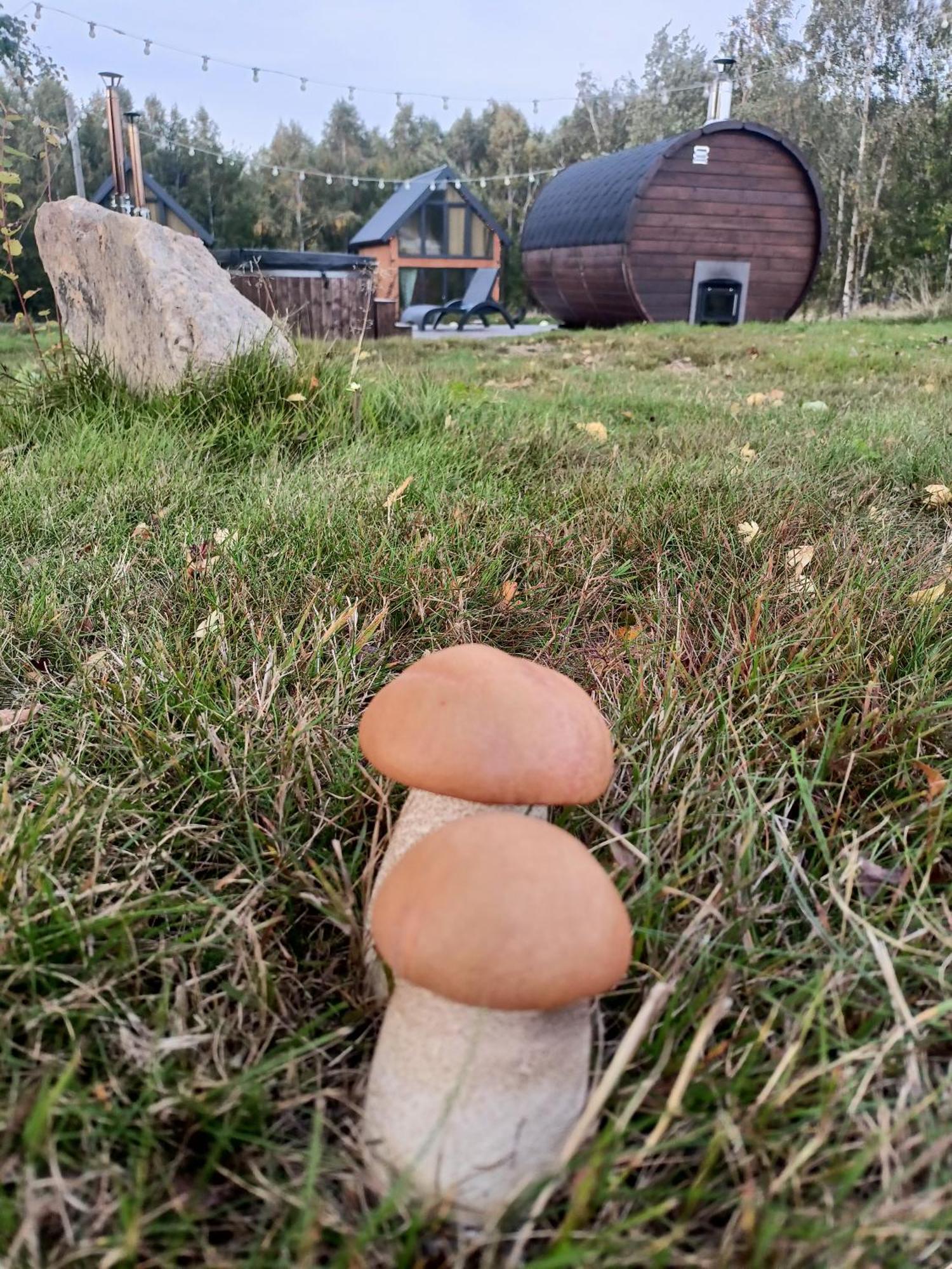 Вилла Grudza Barn House Экстерьер фото
